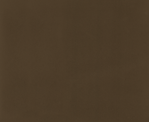 Sepia Brown Matt REF. 347