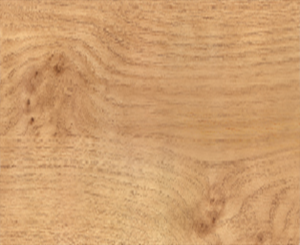 Irish Oak REF. 145